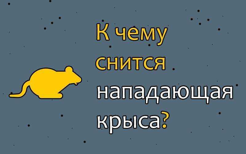 К чему снится большая мертвая крыса: значения для мужчин и женщин, толкование по сонникам