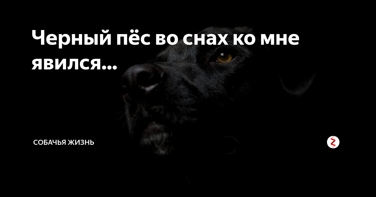 Что такое вещие сны и когда они снятся?