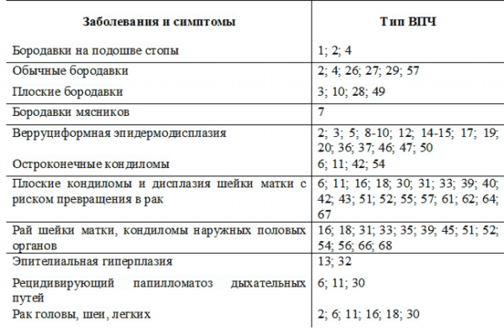 Впч 16 типа у женщин: причины, лечение препаратами, профилактика