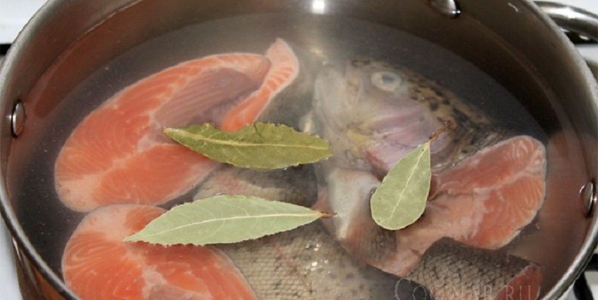 Как вкусно приготовить лимонеллу (лемонему)? 5 рецептов приготовления рыбы
как вкусно приготовить лимонеллу (лемонему)? 5 рецептов приготовления рыбы