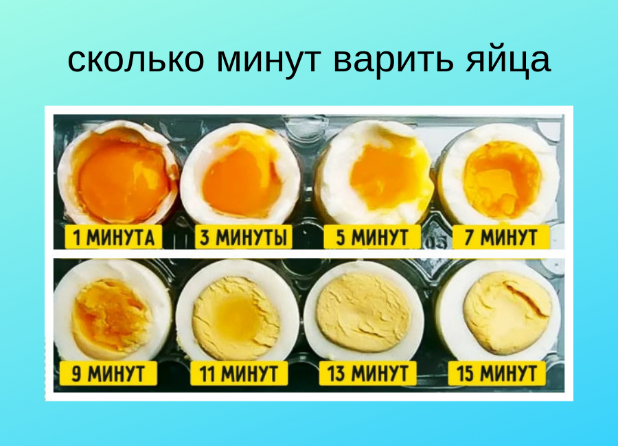 Куриные яйца. как варить, красить и выбирать? - 1000.menu