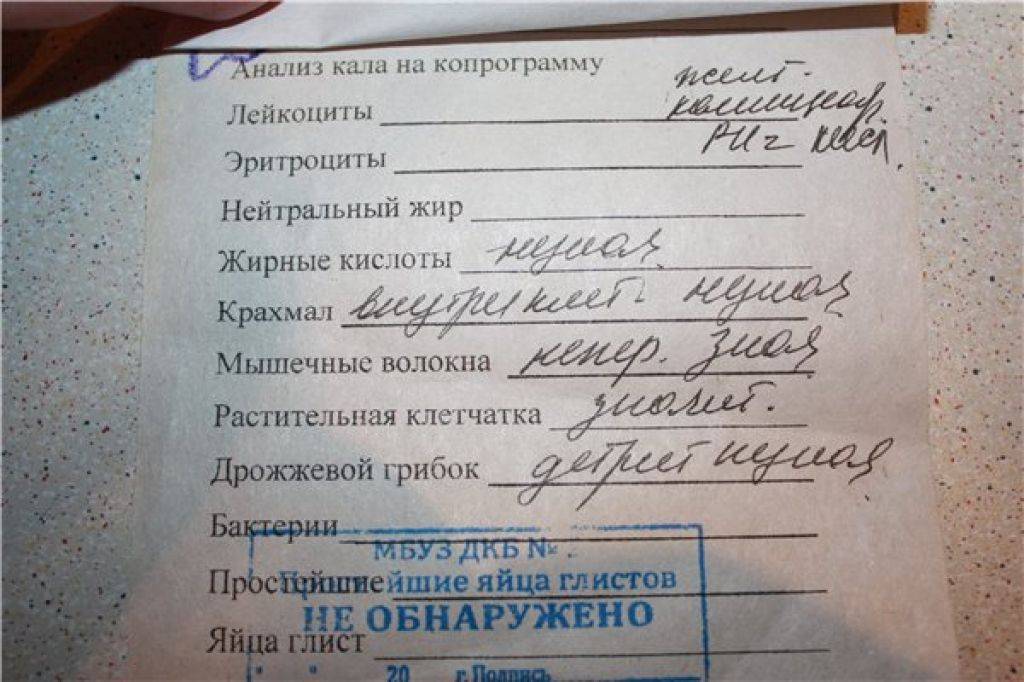 Справка в бассейн: как получить в поликлинике, когда она нужна, образец, срок действия