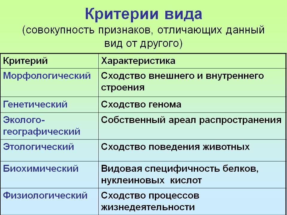 Выбор ломтерезки для дома: рейтинг лучших в 2024 году