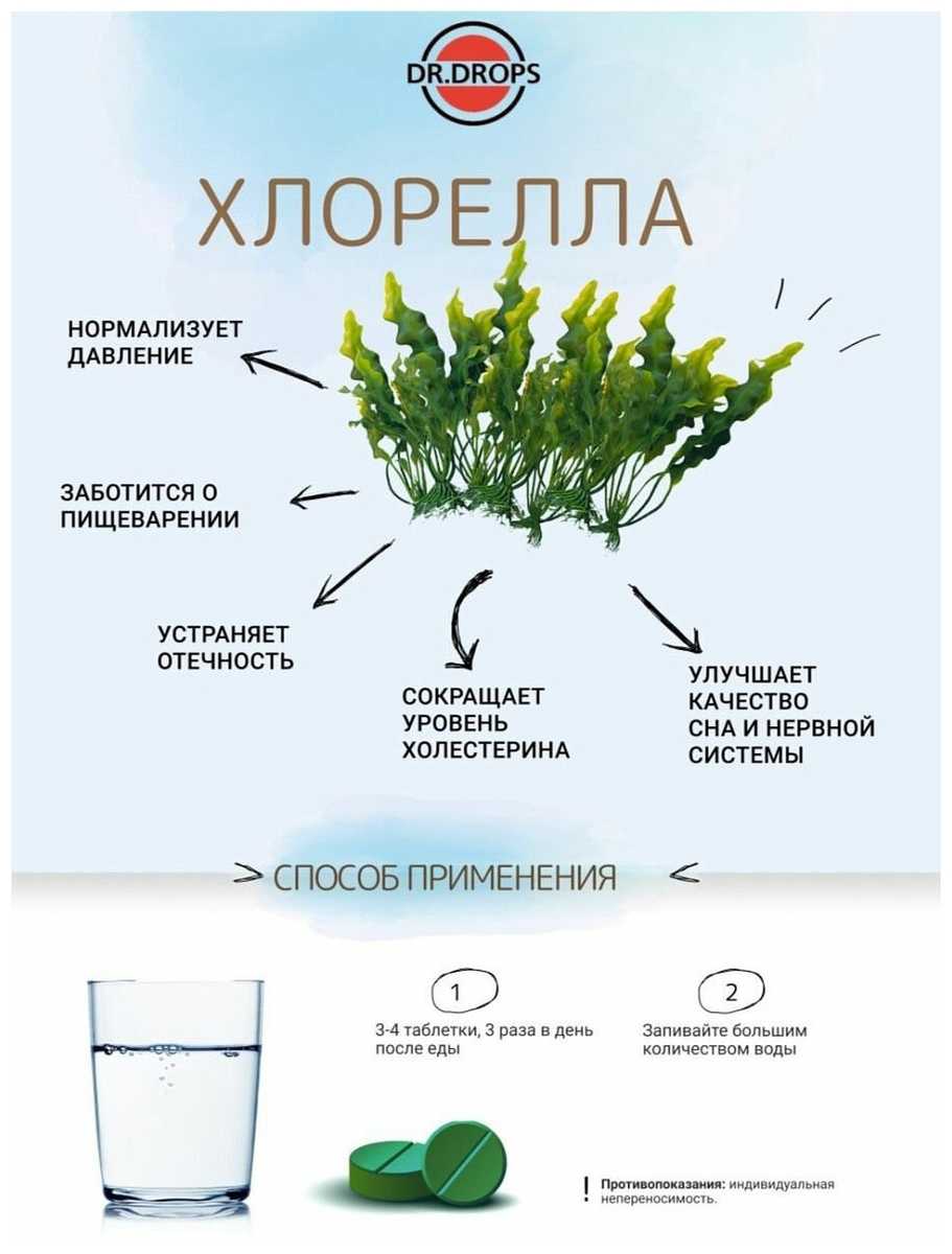 Хлорелла: полезные свойства уникальной микроводоросли