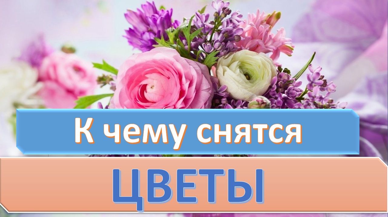 К чему снятся цветы живые в букетах сонник ванги