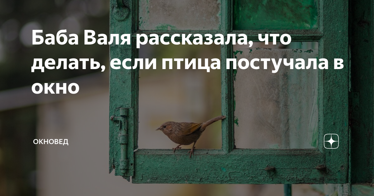 Примета - птица ударилась в окно дома или офиса