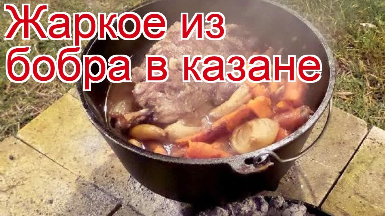Как вкусно и с пользой приготовить бобра в домашних условиях