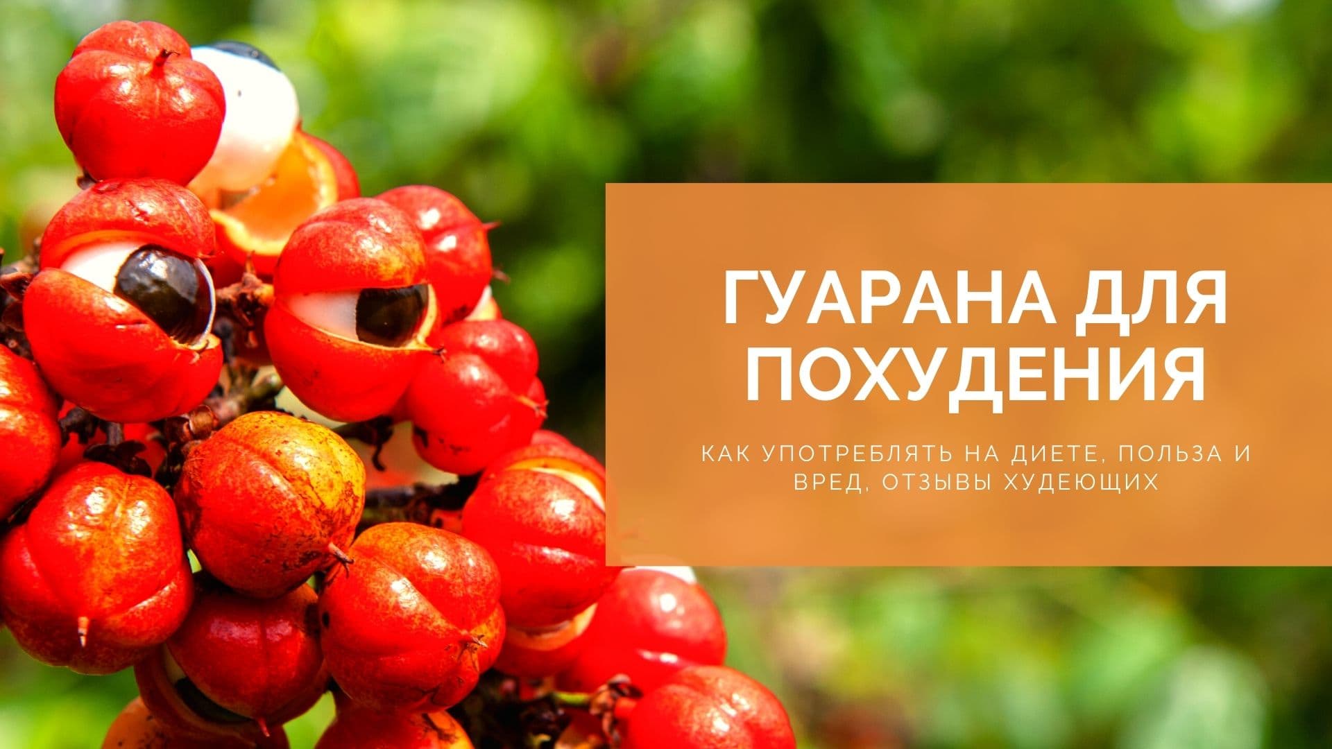 Гуарана: польза и вред, что это такое, советы по употреблению