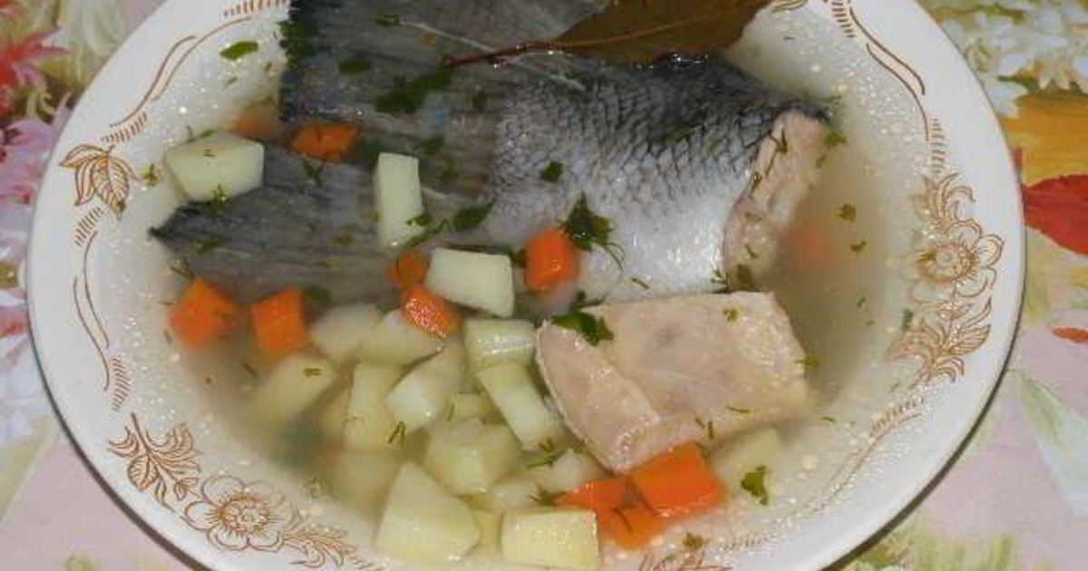 Когда солить уху и рыбный бульон – норма соли и нюансы варки рыбы на суп