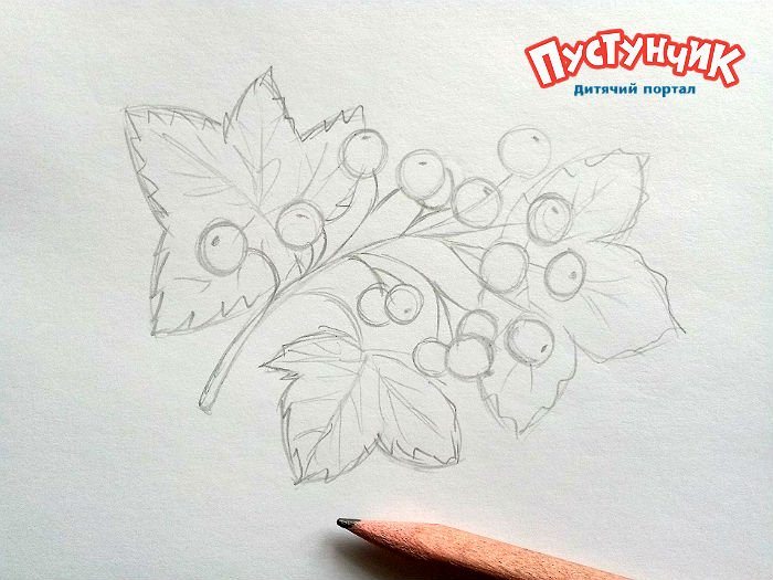 Рисование ягод
