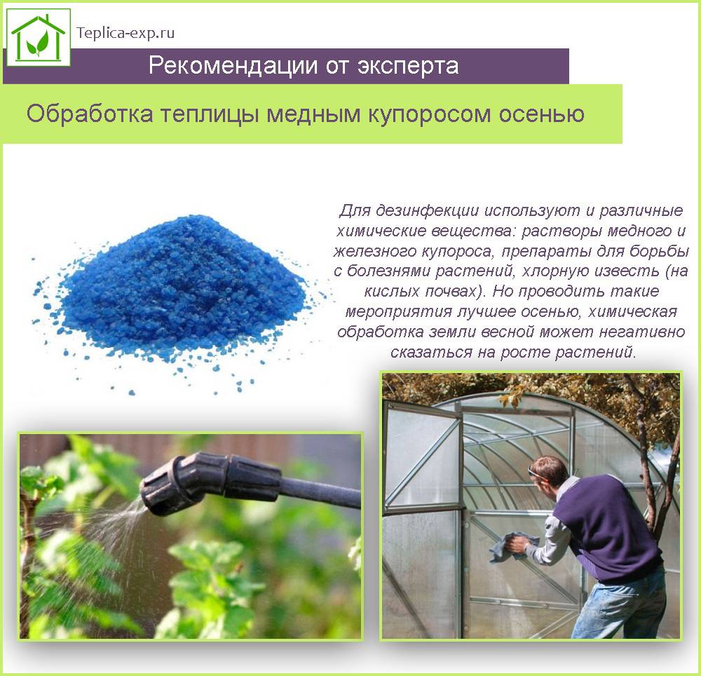 Медный купорос: состав и свойства вещества, инструкция по применению для садовых и огородных культур