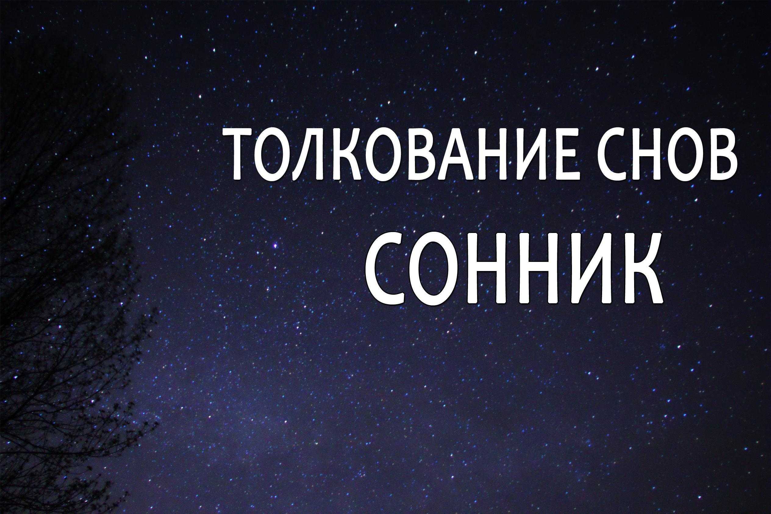 К чему снятся грибы: выигрыш, интим, беременность, а также многое другое / к чему снится? / журнал calend.ru