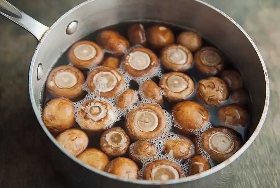 👨‍🍳 сколько варить грибы: правила расчета времени и предварительная подготовка selo.guru — интернет портал о сельском хозяйстве
