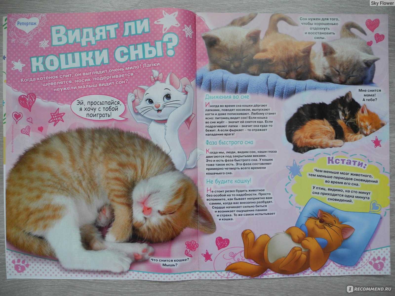 Что снится к беременности 👶 - топ 42 предвещающих снов ❗ по сонникам: может ли присниться змея, виноград, паук, помидоры или яйца к пополнению в семье