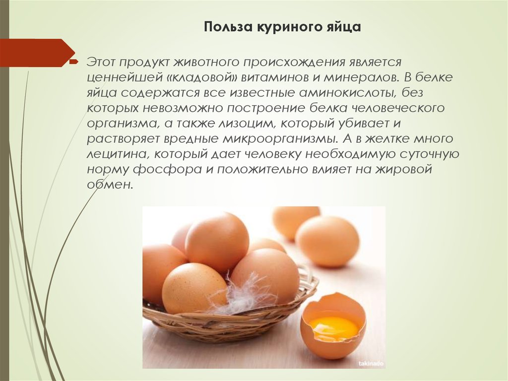 Польза и вред перепелиных яиц для мужчин, как правильно принимать их для потенции