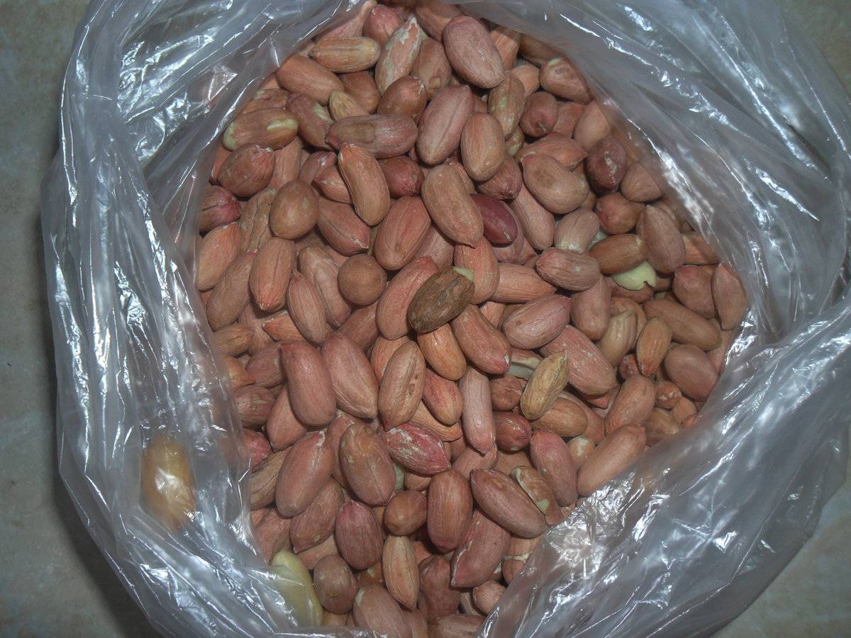 Как размягчить арахис: как очистить орехи в домашних условиях | лазоревое небо