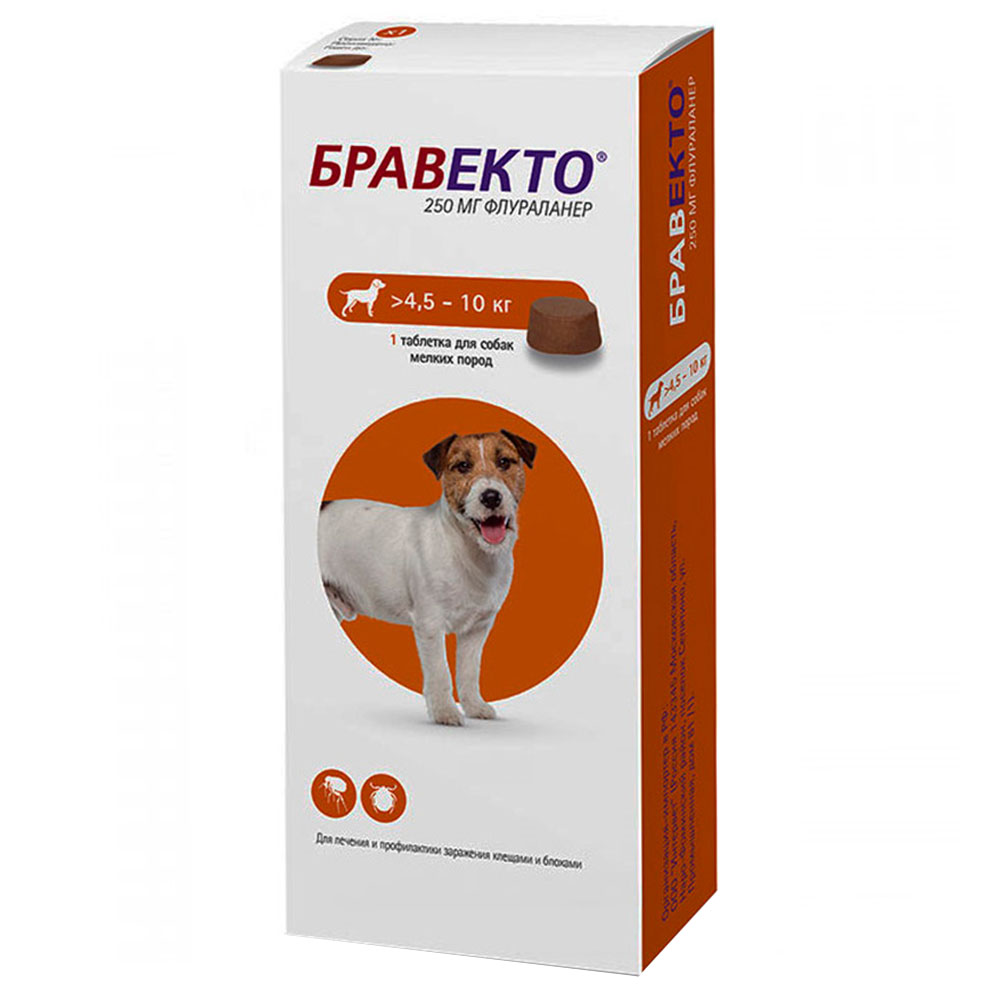 Бравекто для собак – назначение, инструкция, противопоказания, отзывы