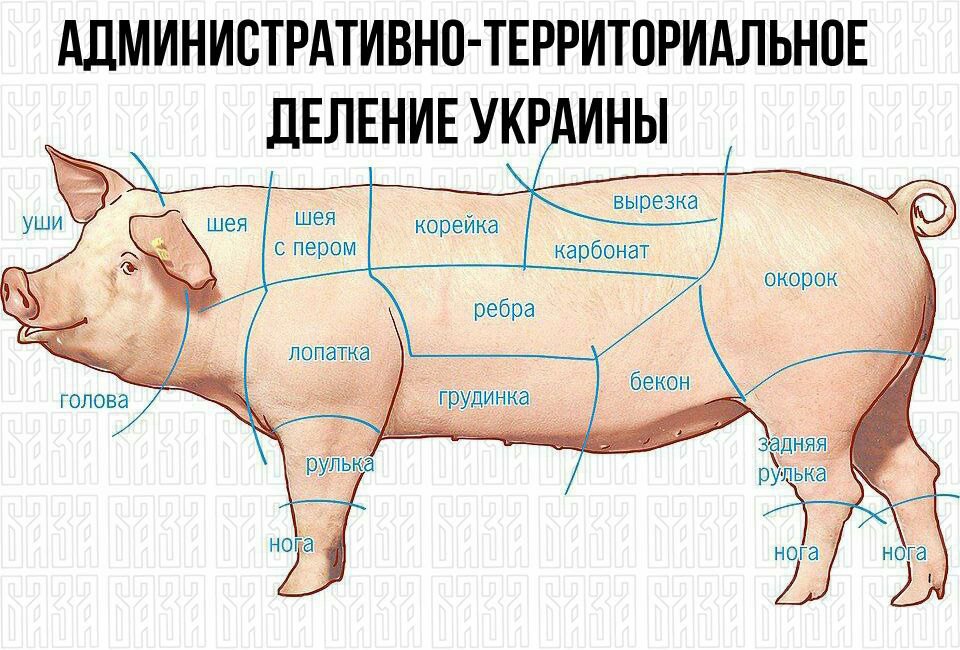 Какую часть свинины используют для супа? - места и названия