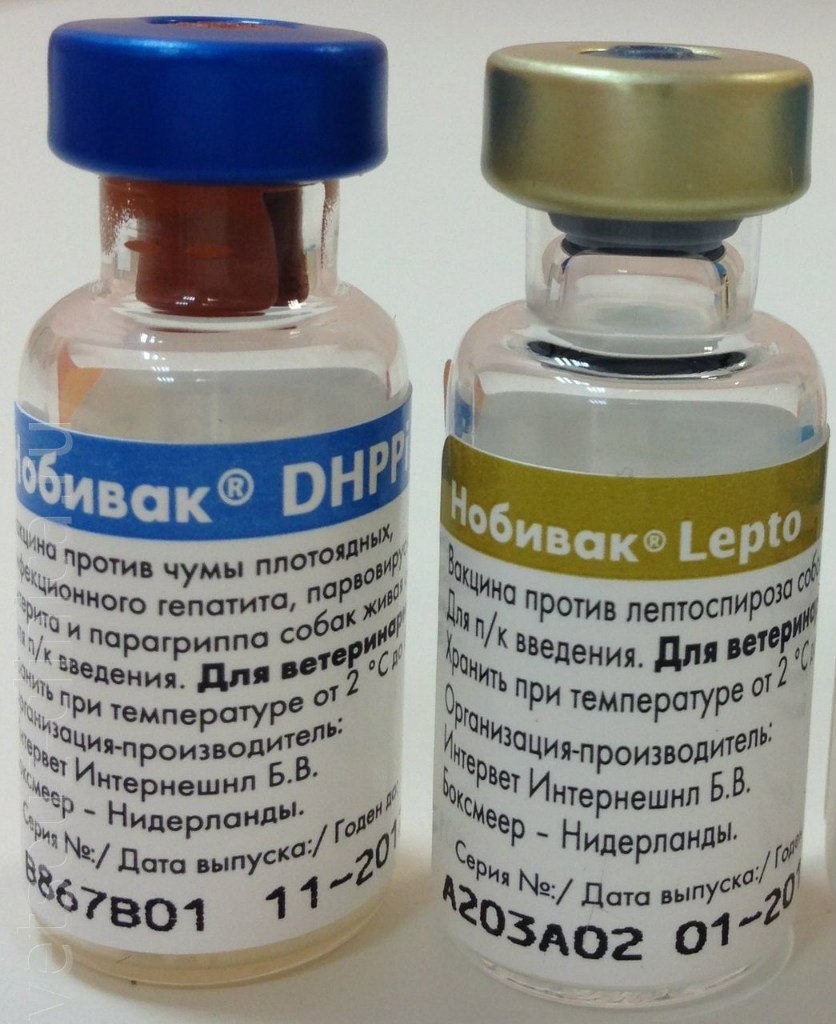 Вакцина нобивак.
