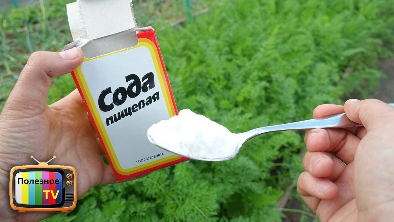 Польза пищевой соды для организма. вред, свойства, применение