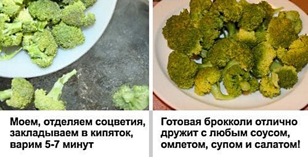Брокколи
