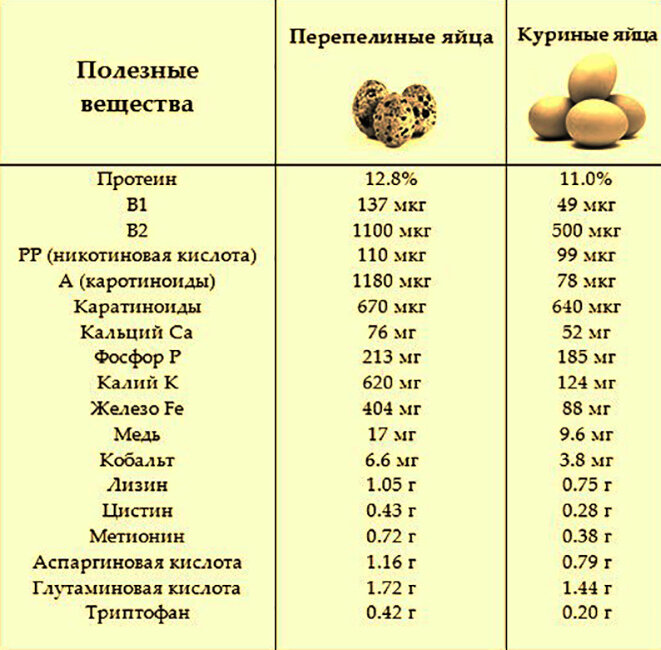 Как варить яйца (куриные и перепелиные) сколько по времени