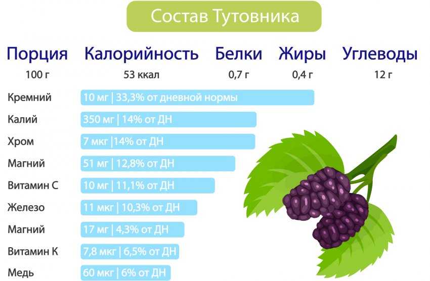 Малина: польза и вред для здоровья человека
