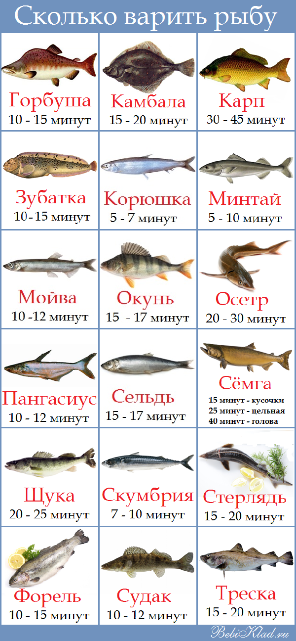 Сколько варить навагу до готовности после закипания? лучший рецепт и время приготовления