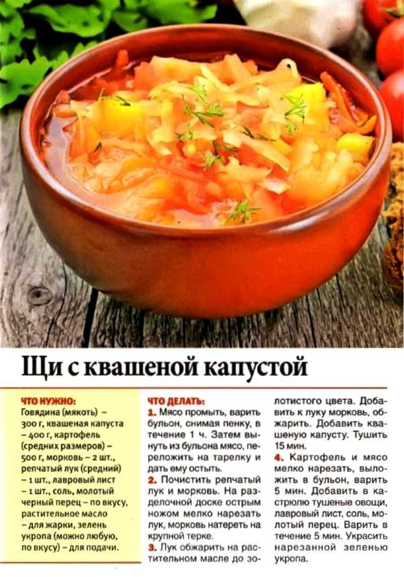 Щи из свежей капусты — пошаговые рецепты приготовления