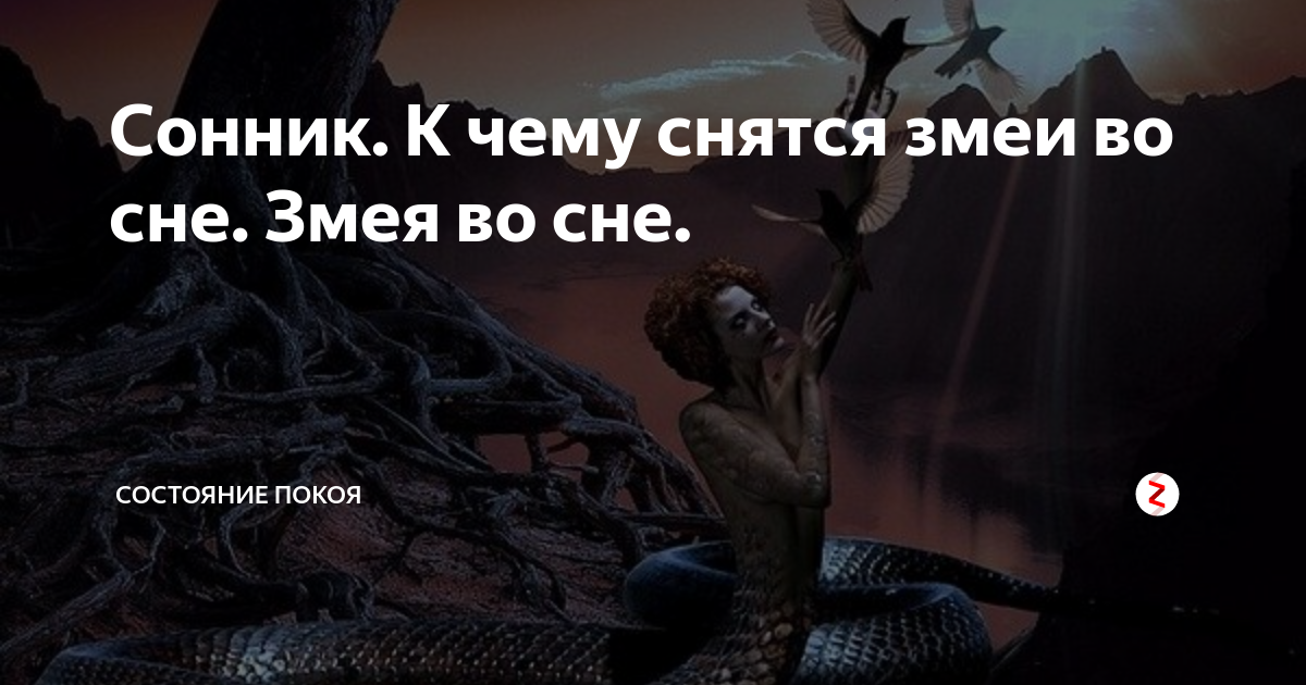 К чему снится сон, в котором укусила змея