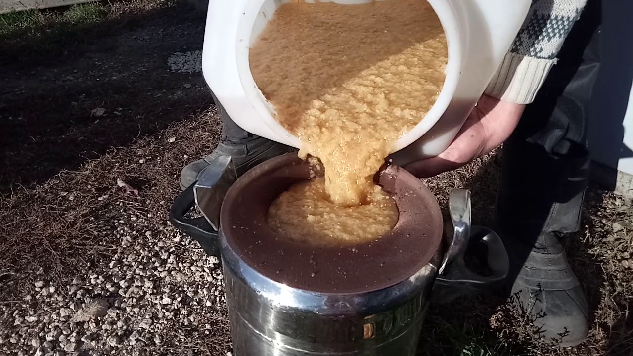 Яблочный самогон: из яблок, сока и яблочного жмыха – drink-drink