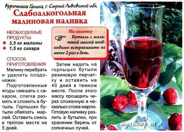 Водка на плодах, травах и специях: 18 рецептов в домашних условиях
