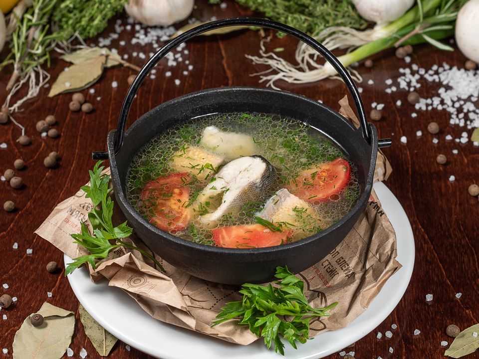 Моя кулинария: морской язык (solea solea)