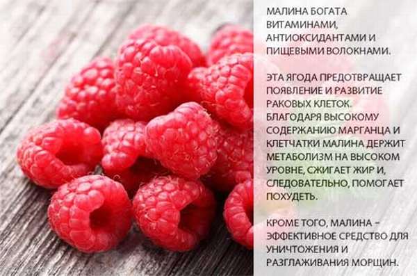 Малиновый чай: лучшие рецепты, польза и вред