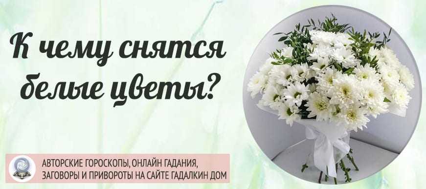 Сонник букет цветов. к чему снится букет цветов во сне приснился
