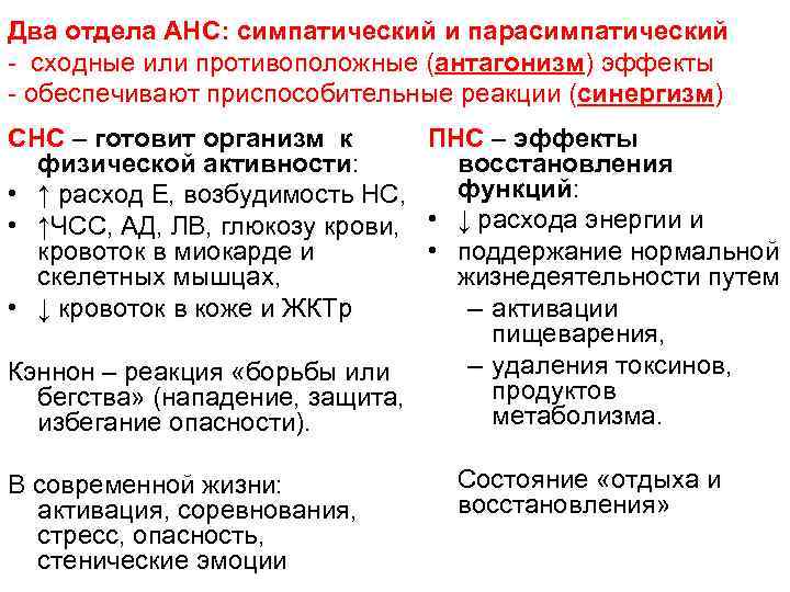 Что такое вегетативная нервная система?