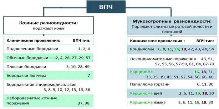 Лечение впч у женщин. схемы и отзывы