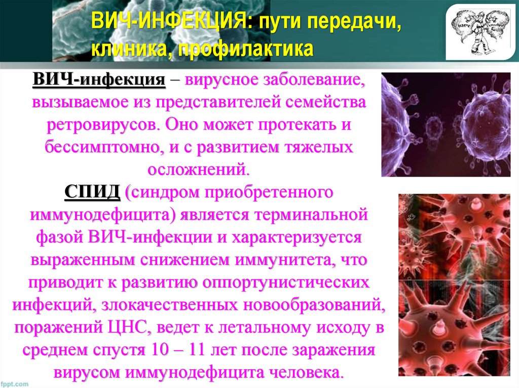 Бактериальные половые инфекции - пути заражения, симптомы, принципы лечения