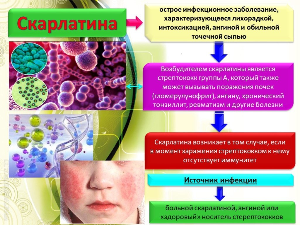 Симптомы и лечение стрептококка в носу и горле у детей, нормы бактерий в мазках, профилактические прививки