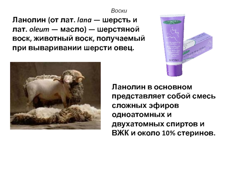 Ланолин - что это, состав, физико-химические характеристики, кремы, мази, мыло и шампуни на его основе