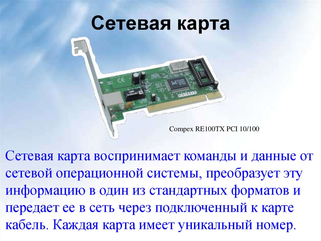 Сетевая карта для компьютера с wi-fi: как выбрать, разновидности и подключение