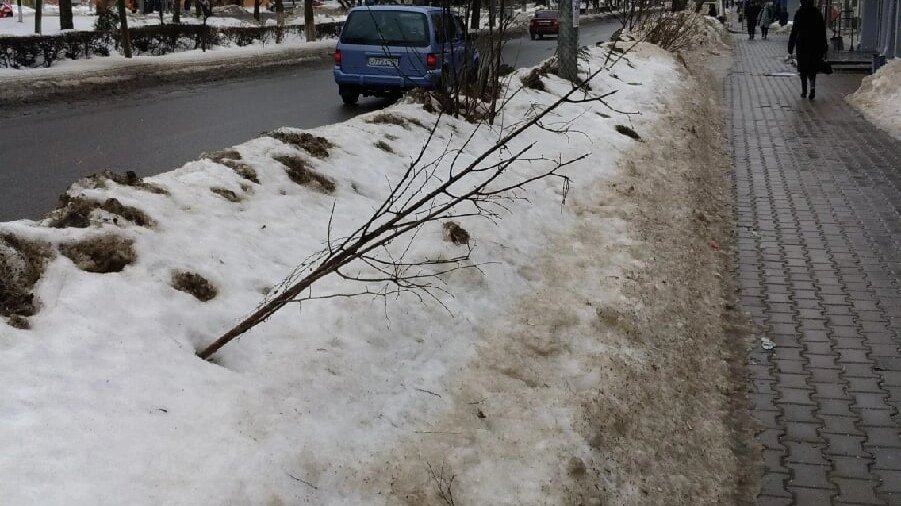К чему снится снег
