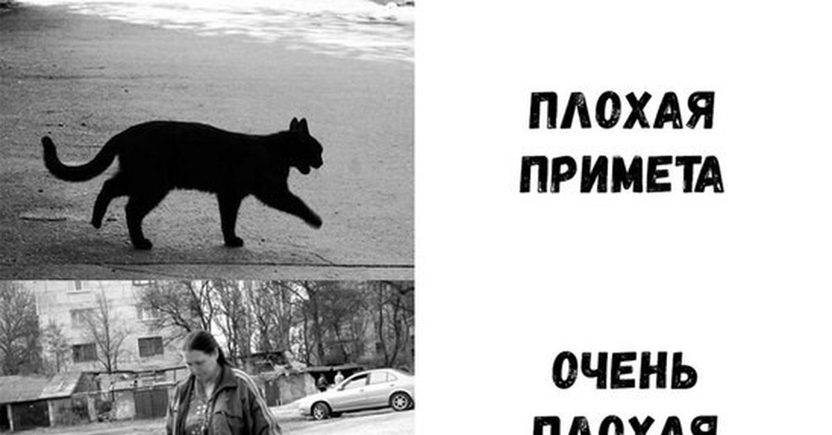 Плохие приметы: 10 знаков, предупреждающих нас об опасности
