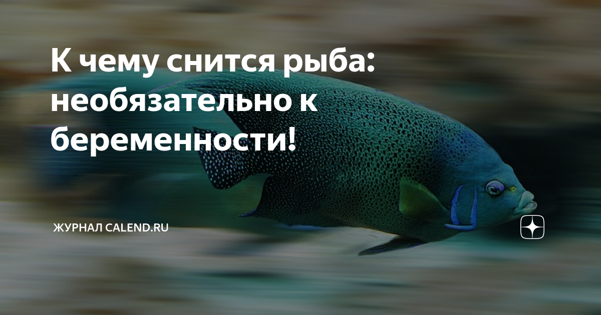 К чему снится покупать свежую рыбу. женщина покупает рыбу во сне. рыба в сновидениях