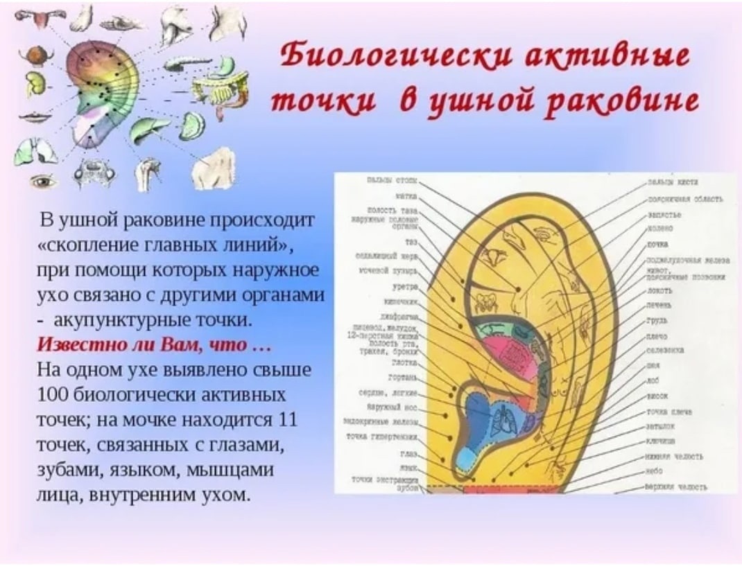Массаж ушей точечный китайский: польза