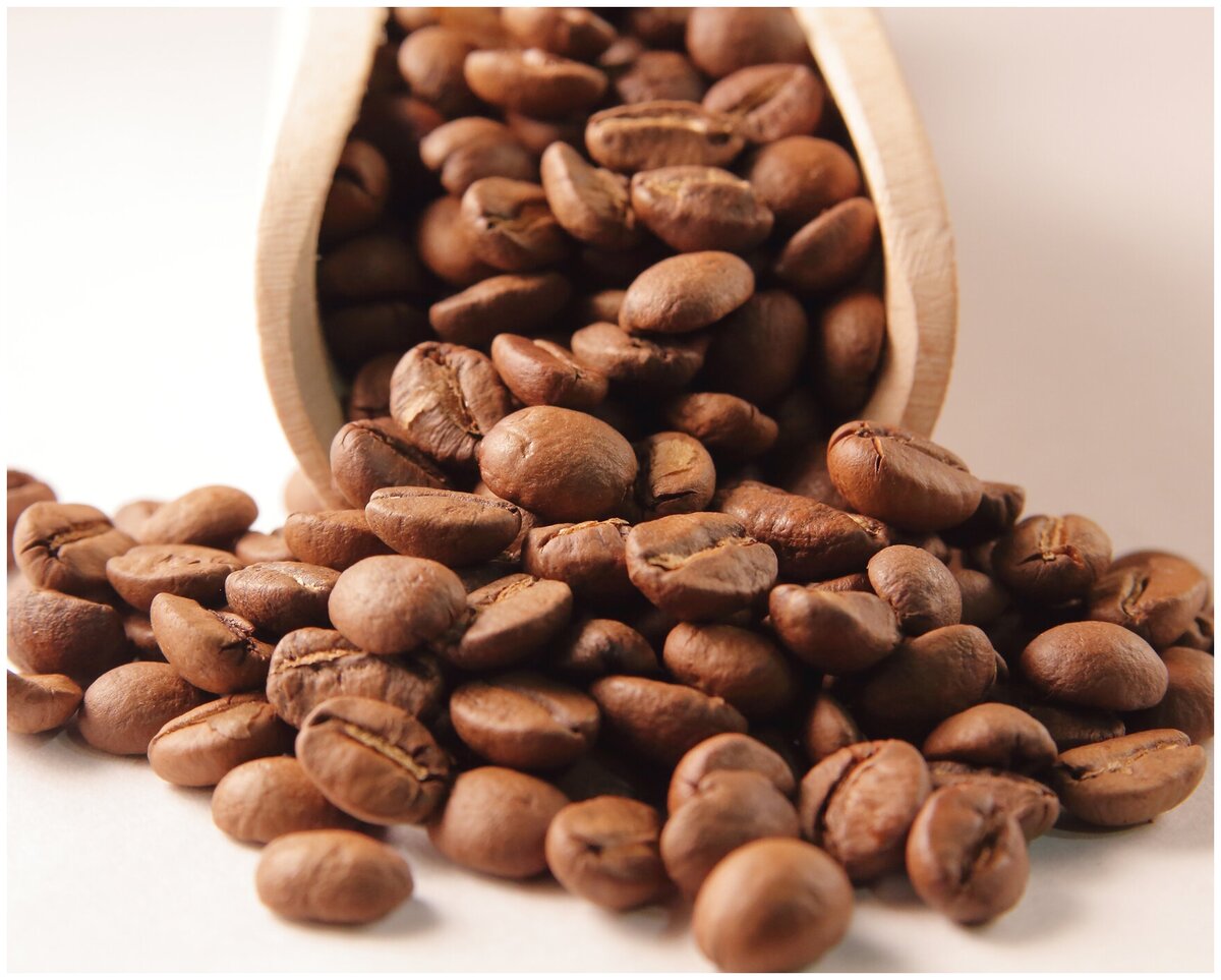 Как помолоть кофе в зёрнах без кофемолки? на xcoffee.ru