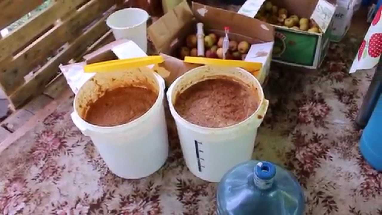 Брага на винограде - как готовить из жмыха, сока, с яблоками, апельсиновой цедрой и признаки готовности
