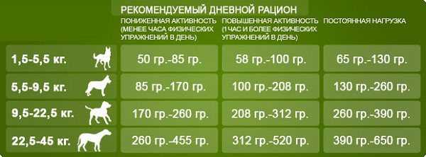 Сколько еды давать собаке в день
