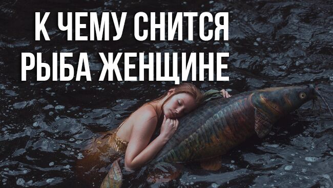 Что говорят сонники про аквариум с рыбками: о чем может сказать такой сок и к чему он снится