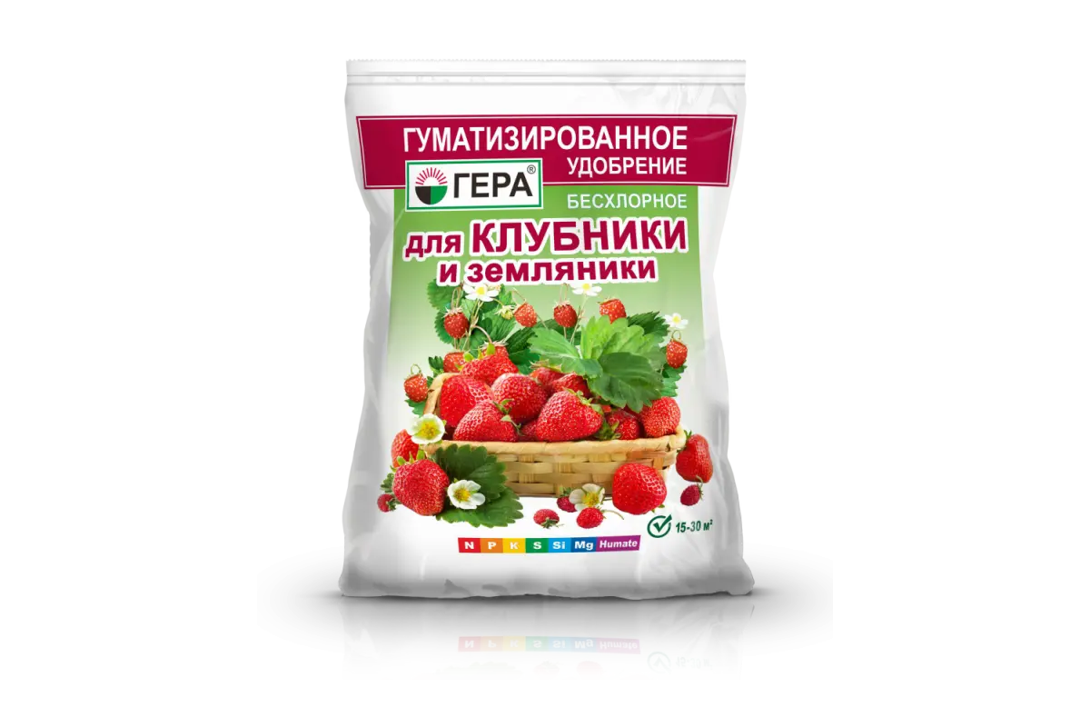 Чем подкормить клубнику весной для хорошего урожая